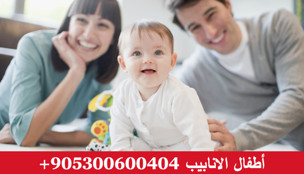 اطفال الانابيب في تركيا